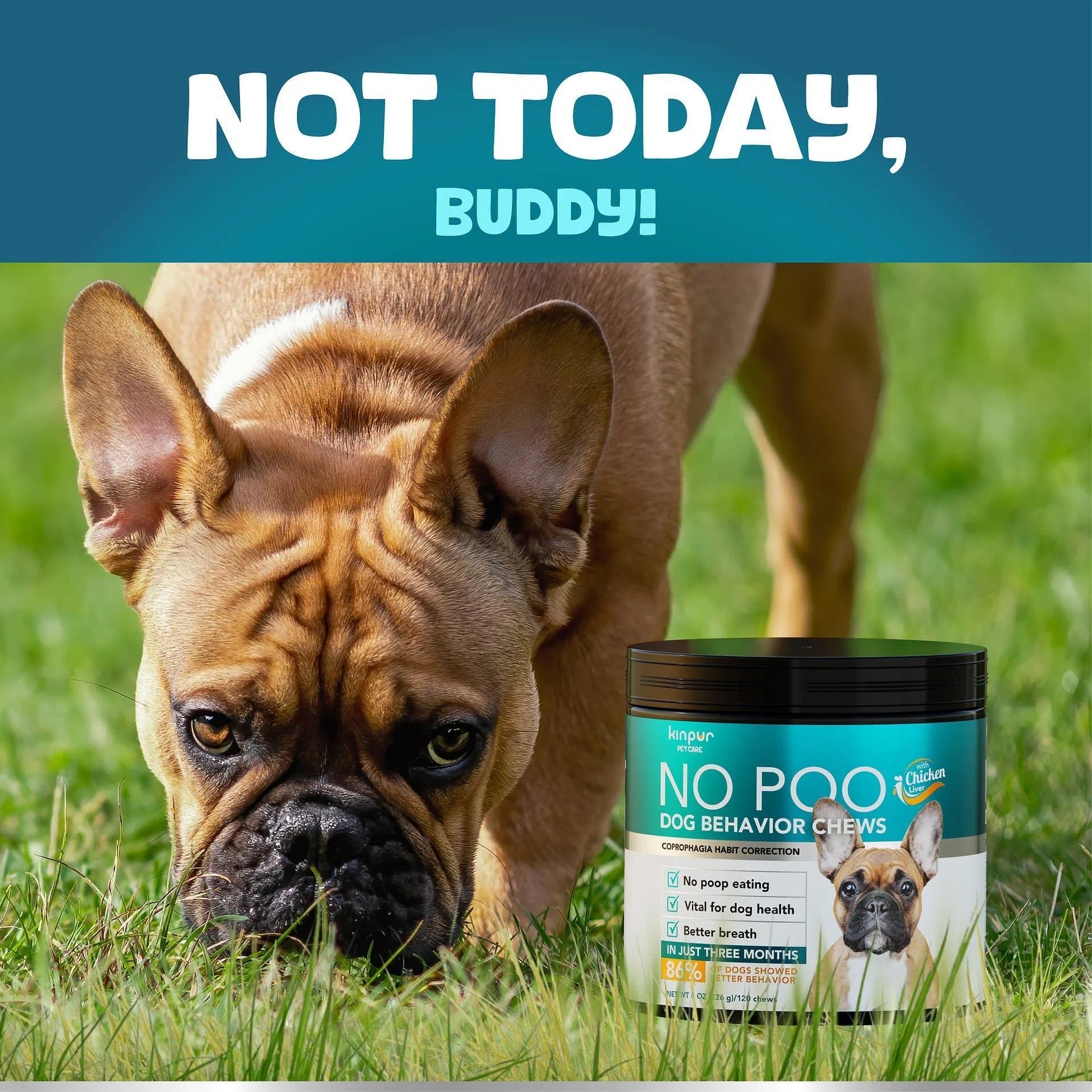 Digestive Enzyme Dog Chews, No Poo Formula, 180ct