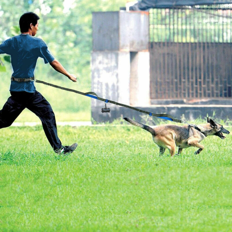 Multi-Function Reflective Dog Running Leash with Double Elastic