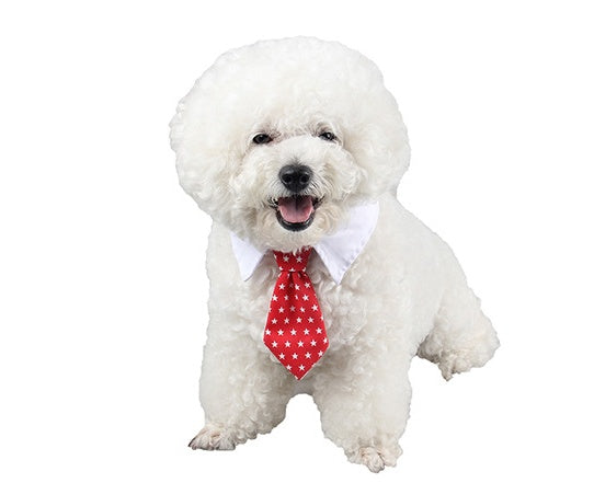 Pet Bow Tie with Cute Cartoon Print