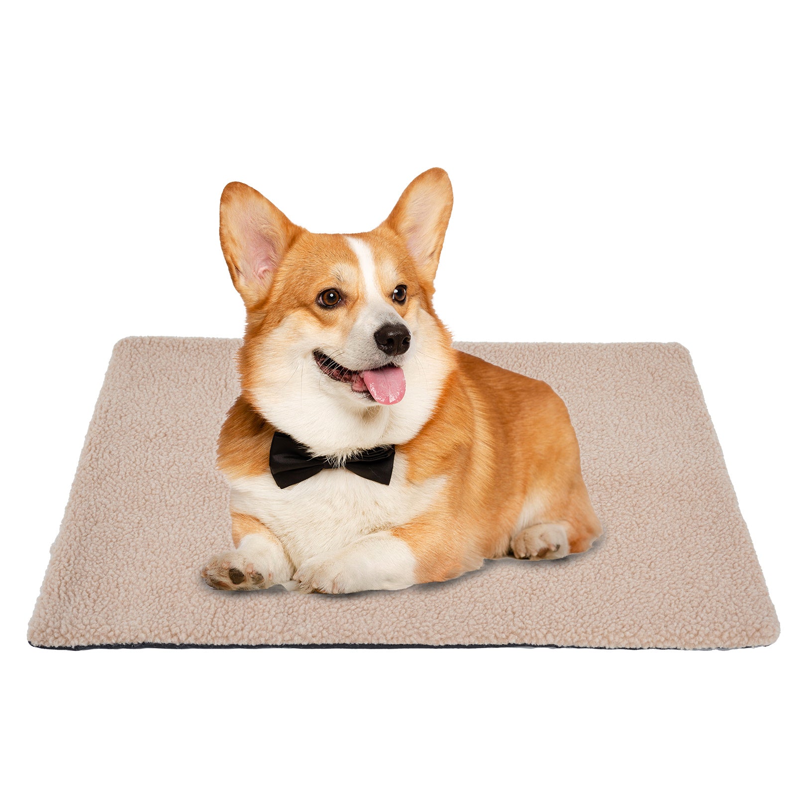 Self-Heating Pet Cushion Mat for Cold Weather
