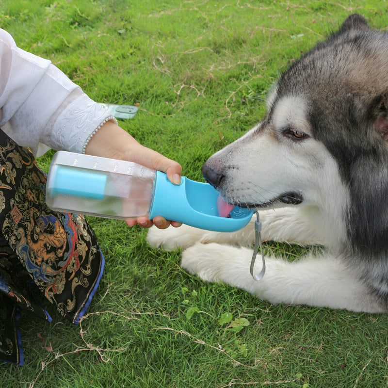 3-in-1 Portable Pet Water Bottle and Feeder