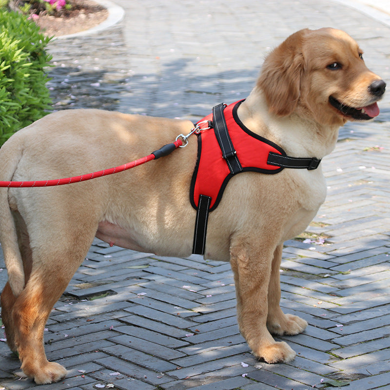 Nylon Dog Harness Vest for Medium and Large Dogs