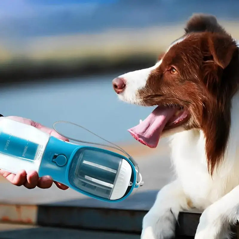 3-in-1 Portable Dog Water and Food Cup