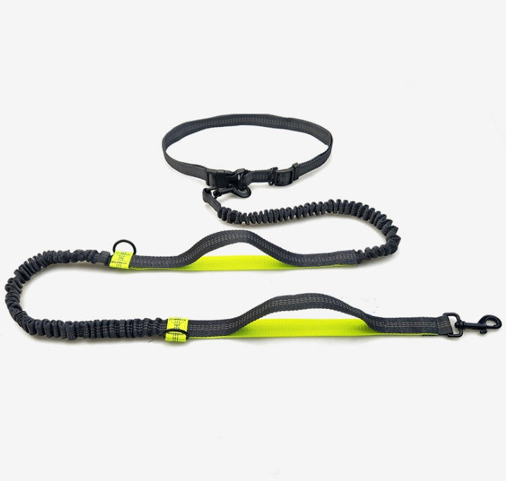 Multi-Function Reflective Dog Running Leash with Double Elastic