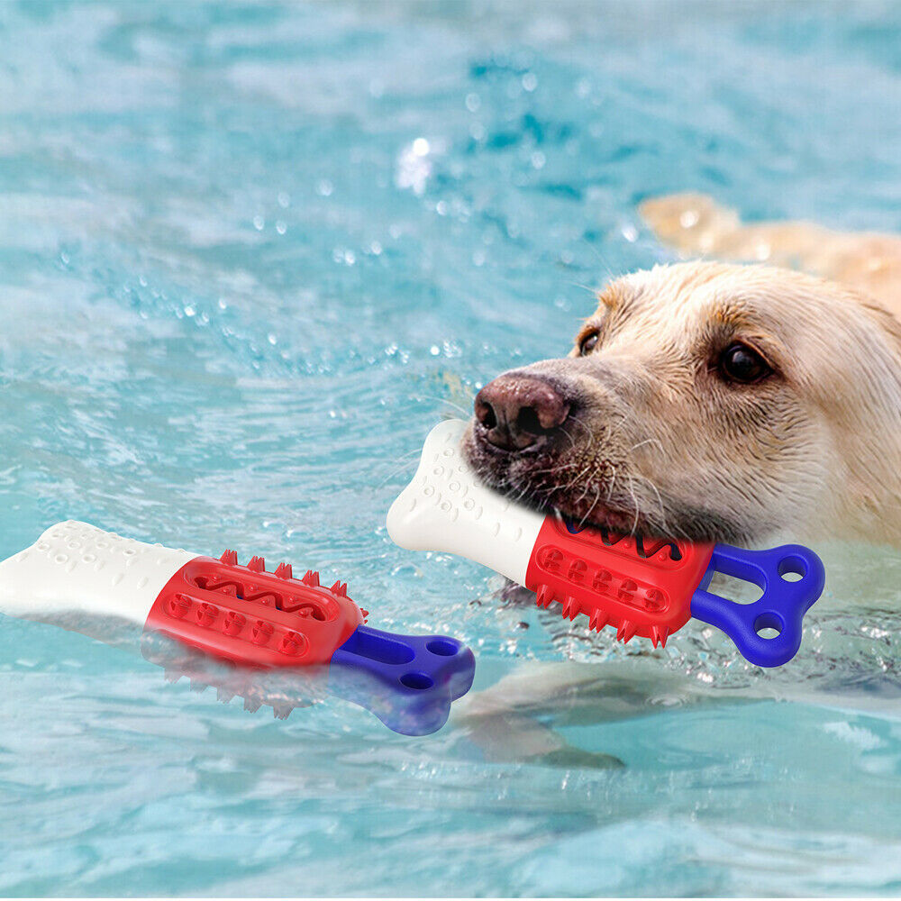 Cooling Molar Stick Chew Toy for Dogs