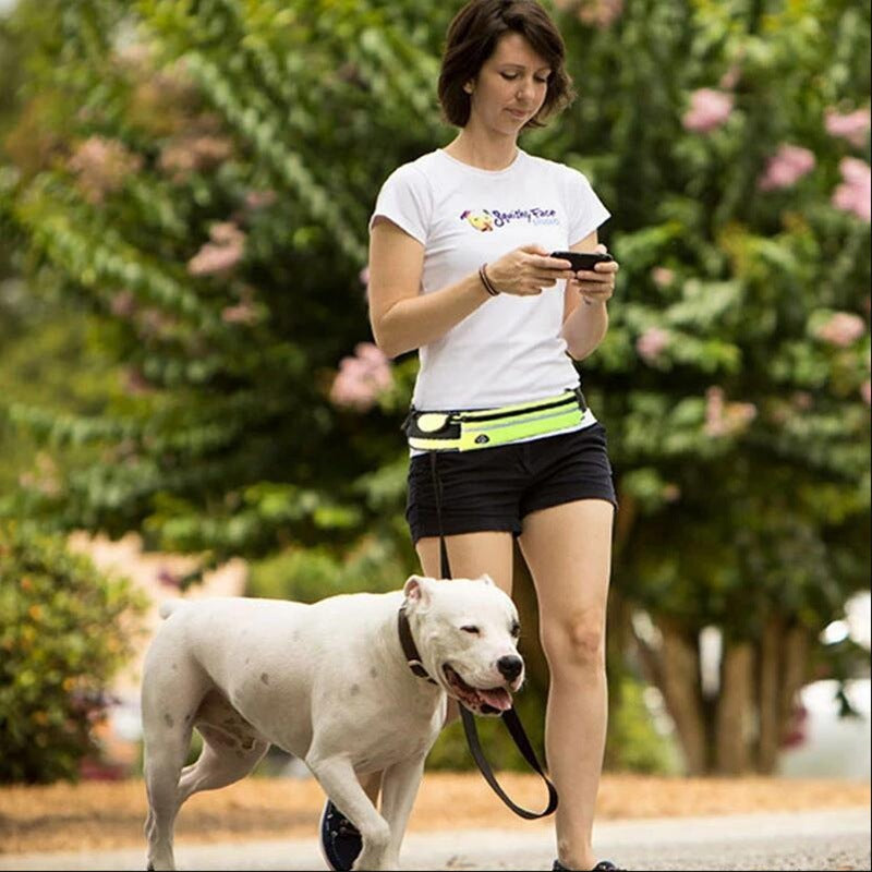 Pet Walking Belt with Phone Pocket and Bottle Holder