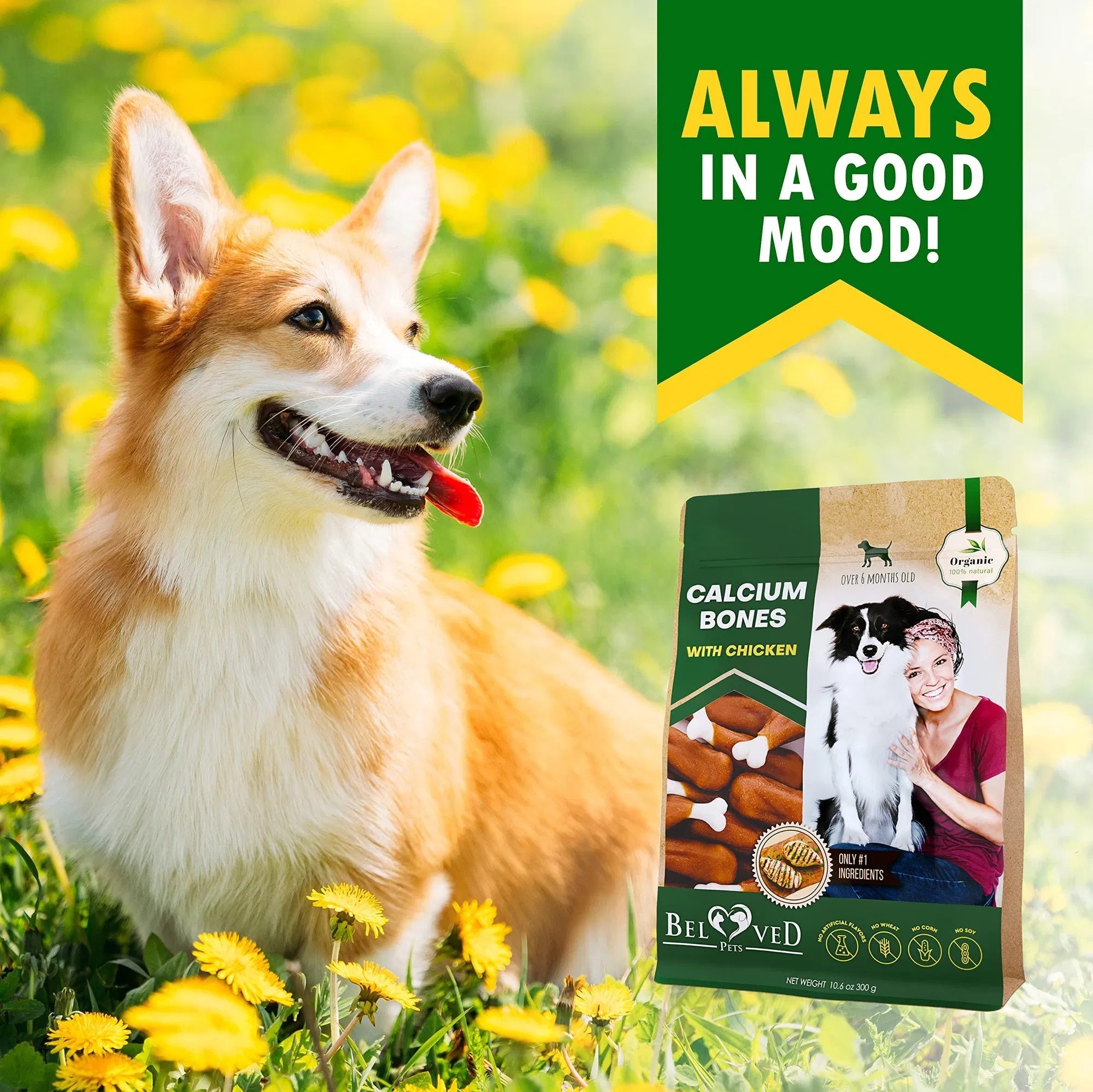 Natural Chicken Dog Treats, Rawhide-Free and Healthy