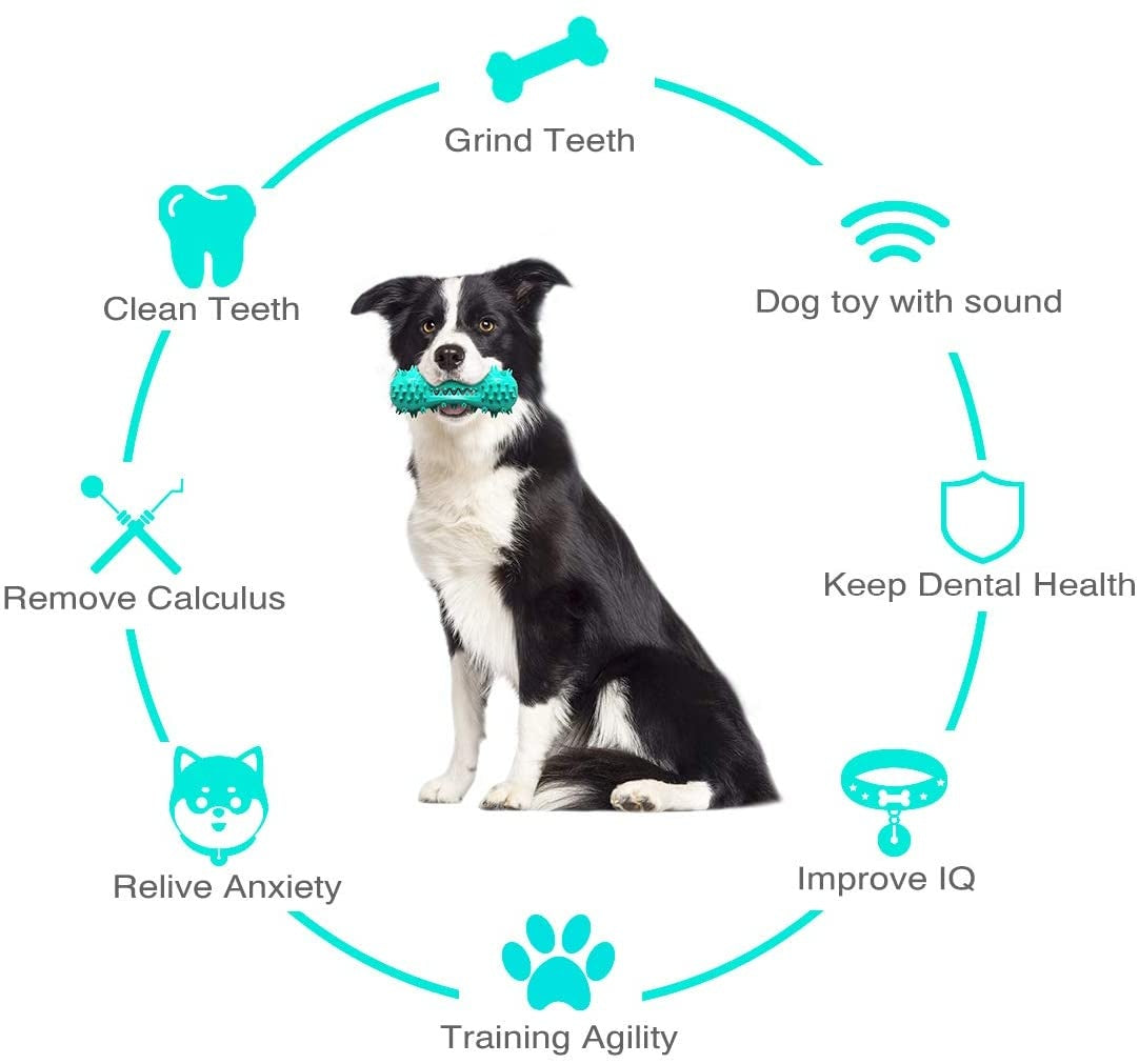 Durable Dog Chew Toy for Aggressive Chewers
