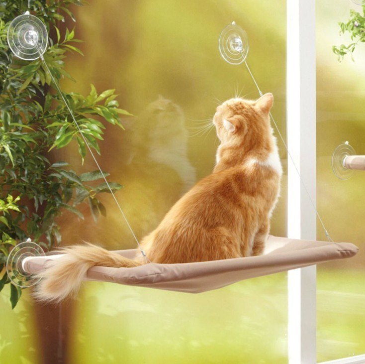Pet Hanging Window Bed for Cats