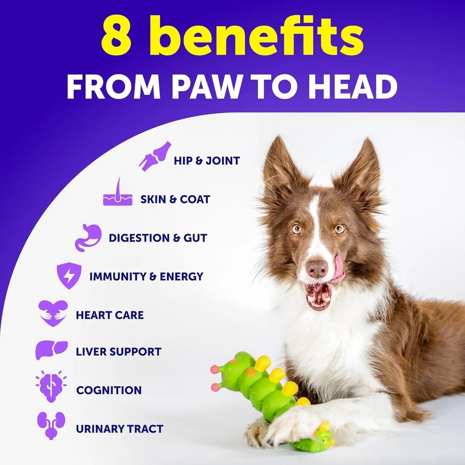 Dog Multivitamin Chews, Joint & Immune Support, 120ct