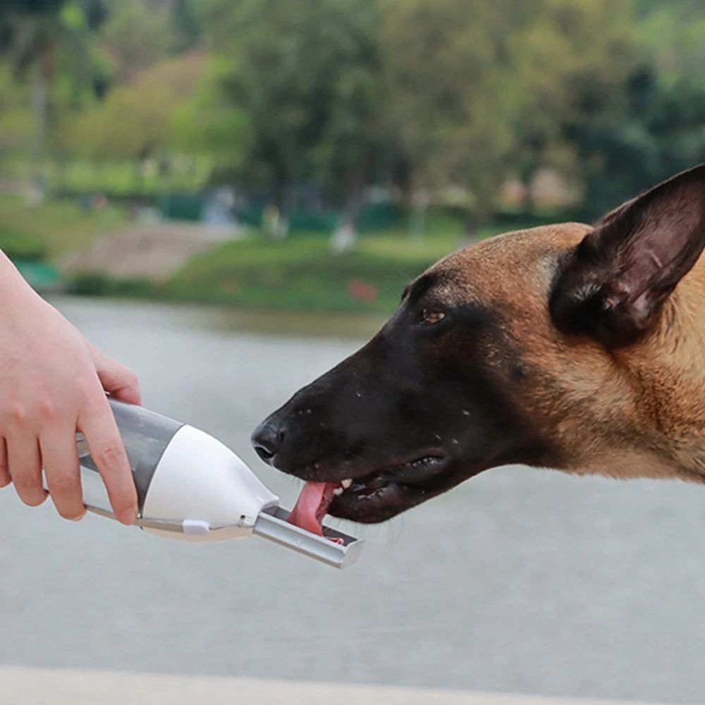 Portable Water & Food Bottle for Dogs & Cats