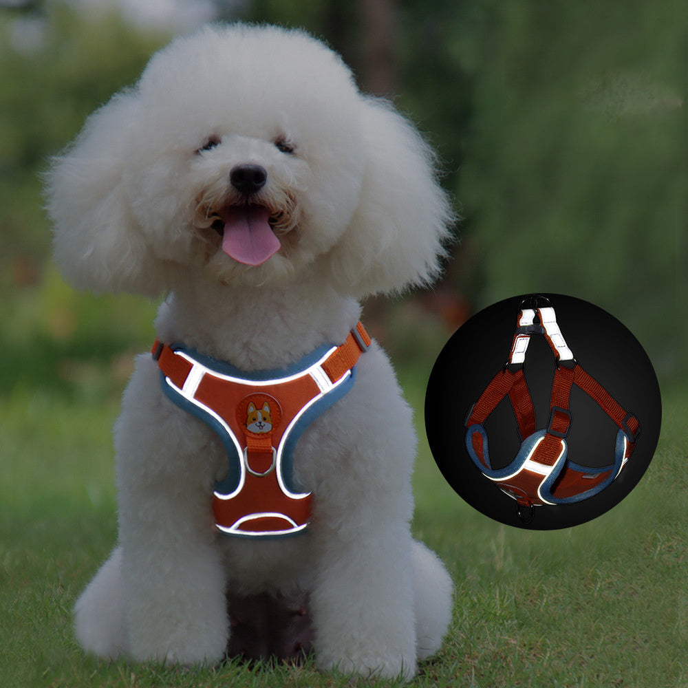 Adjustable Dog Harness and Leash Set