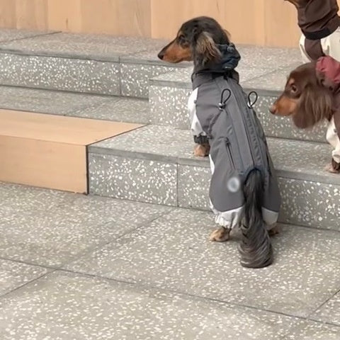 Cold-Proof Dachshund Jacket – Autumn Winter Pet Clothes