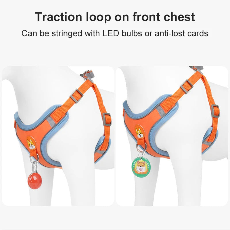Adjustable Dog Harness and Leash Set