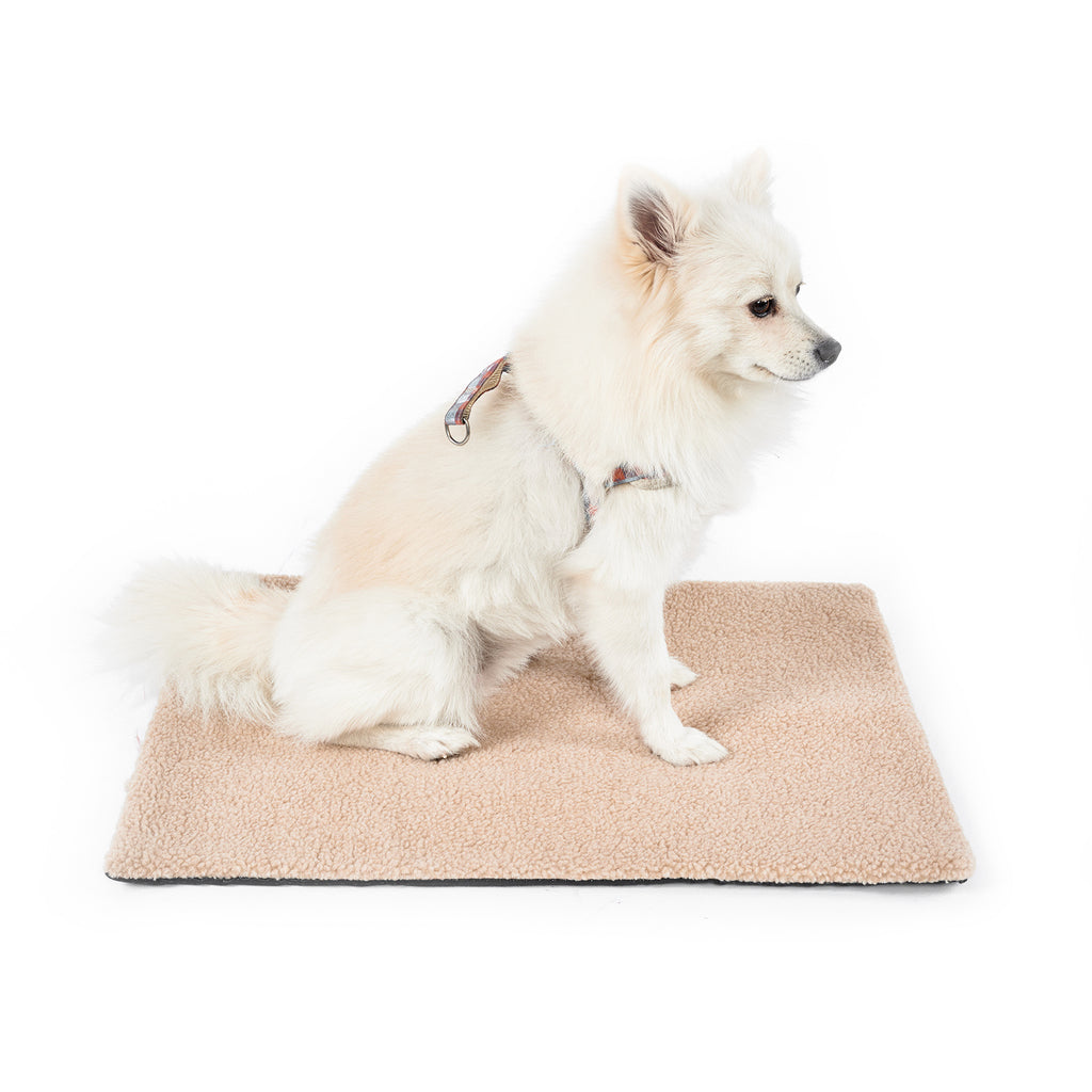 Self-Heating Pet Cushion Mat for Cold Weather