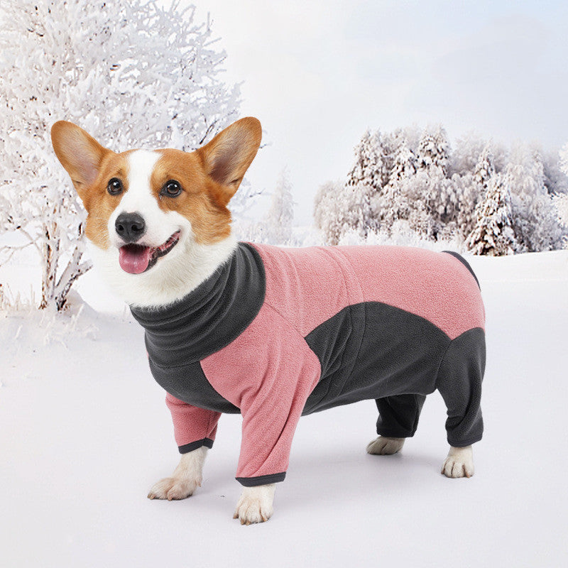 Dog Winter Jacket – Cold-Proof and Cozy Wear
