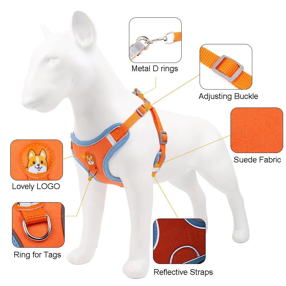 Adjustable Dog Harness and Leash Set