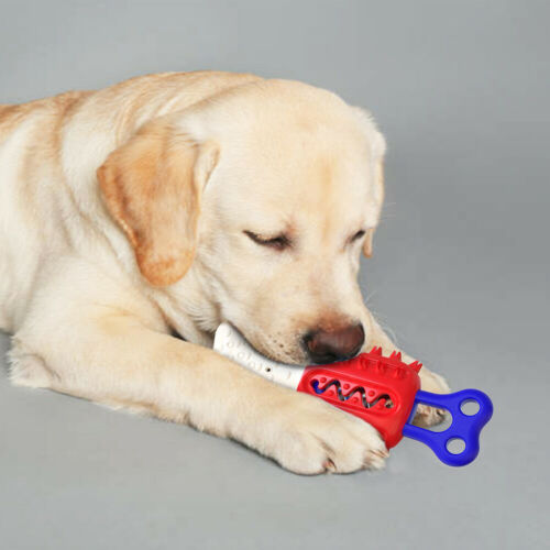 Cooling Molar Stick Chew Toy for Dogs