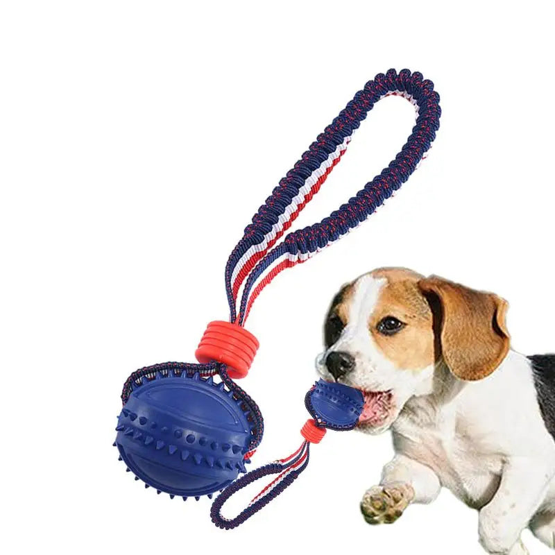 Durable Dog Chewing Ball with Rope