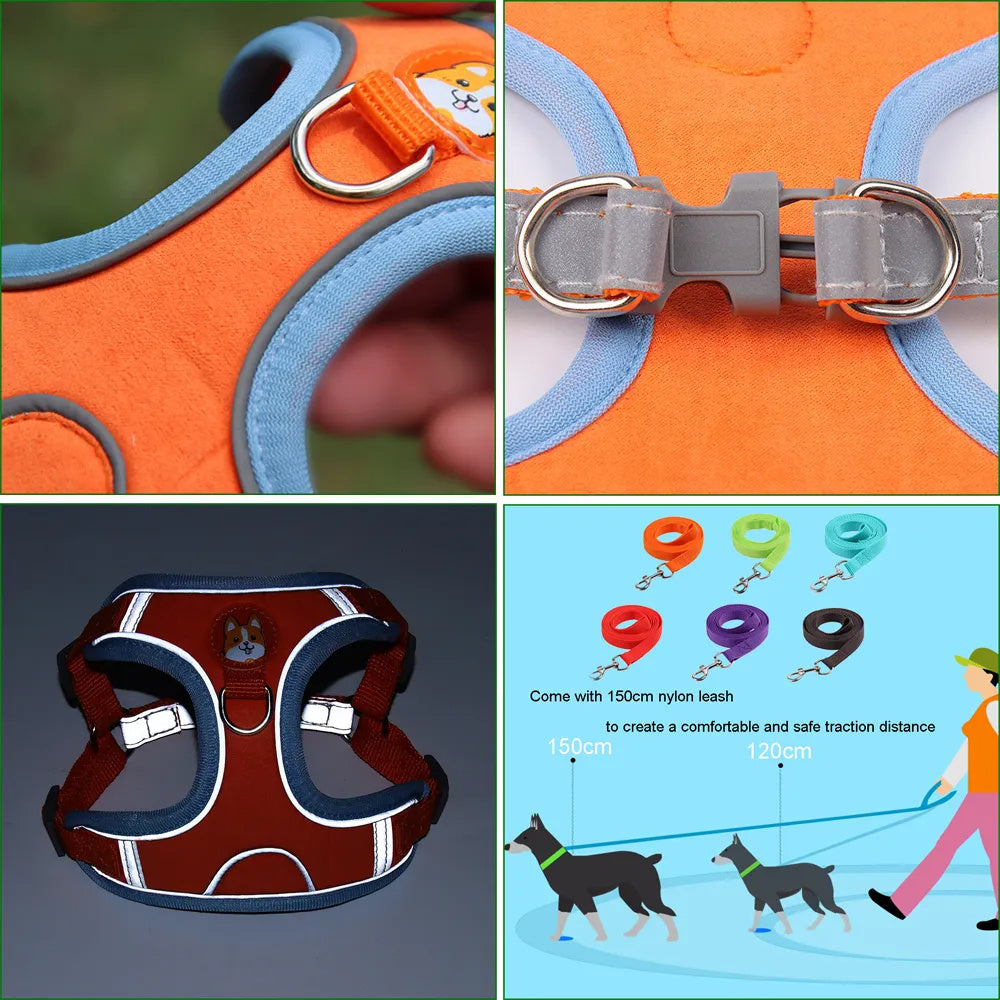 Adjustable Dog Harness and Leash Set