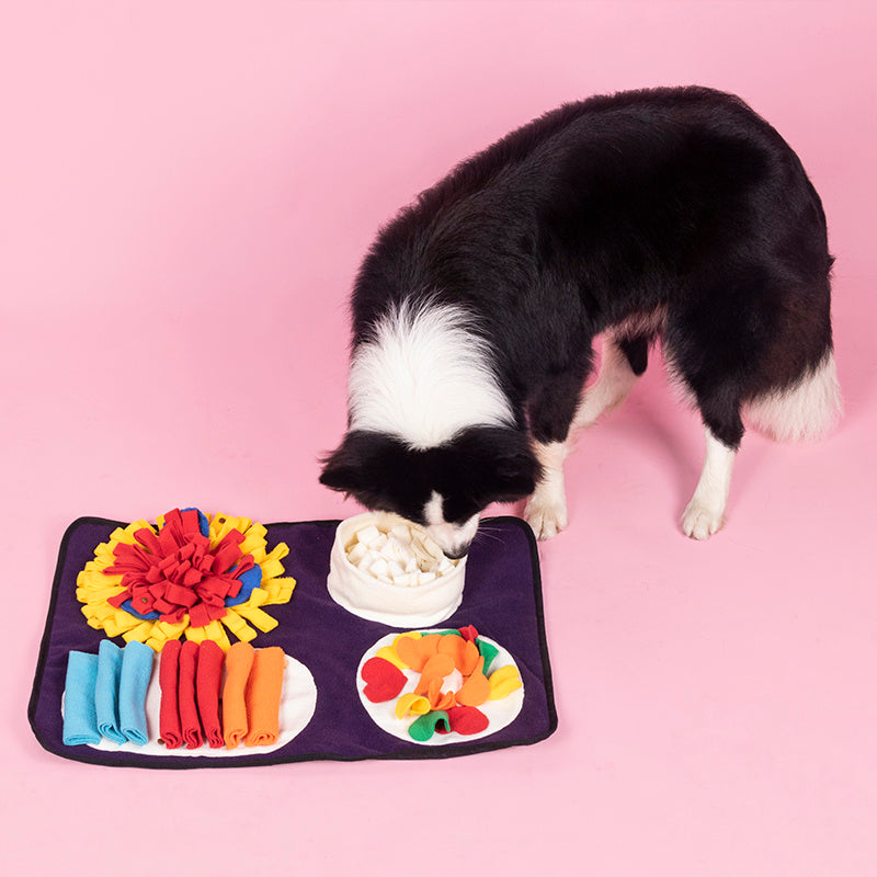 Durable Machine Washable Dog Snuffle Mat