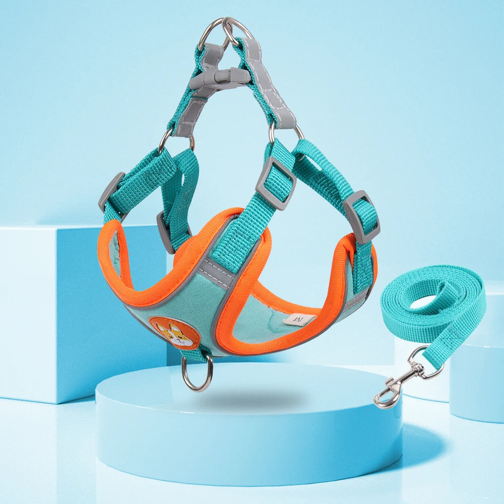 Adjustable Dog Harness and Leash Set