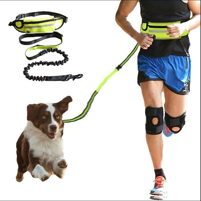 Pet Walking Belt with Phone Pocket and Bottle Holder