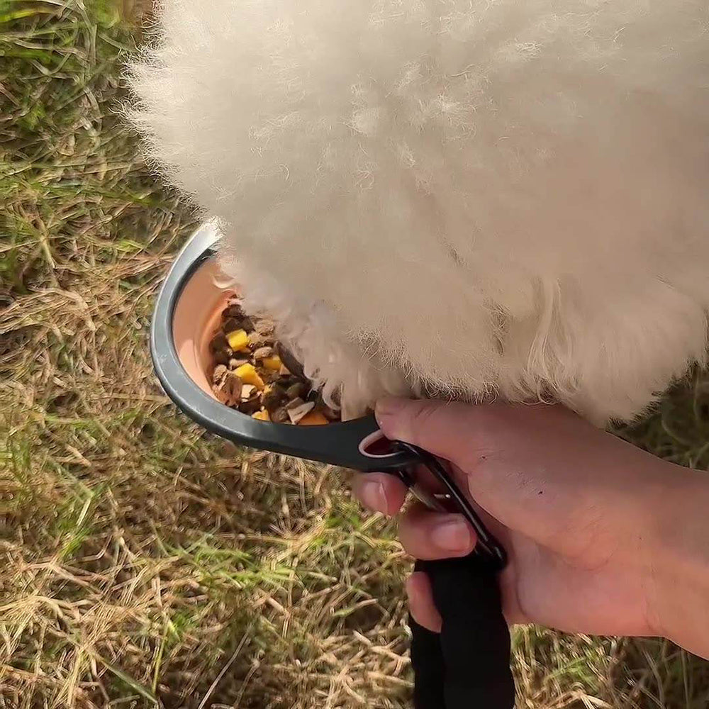 Collapsible Silicone Dog Travel Bowl