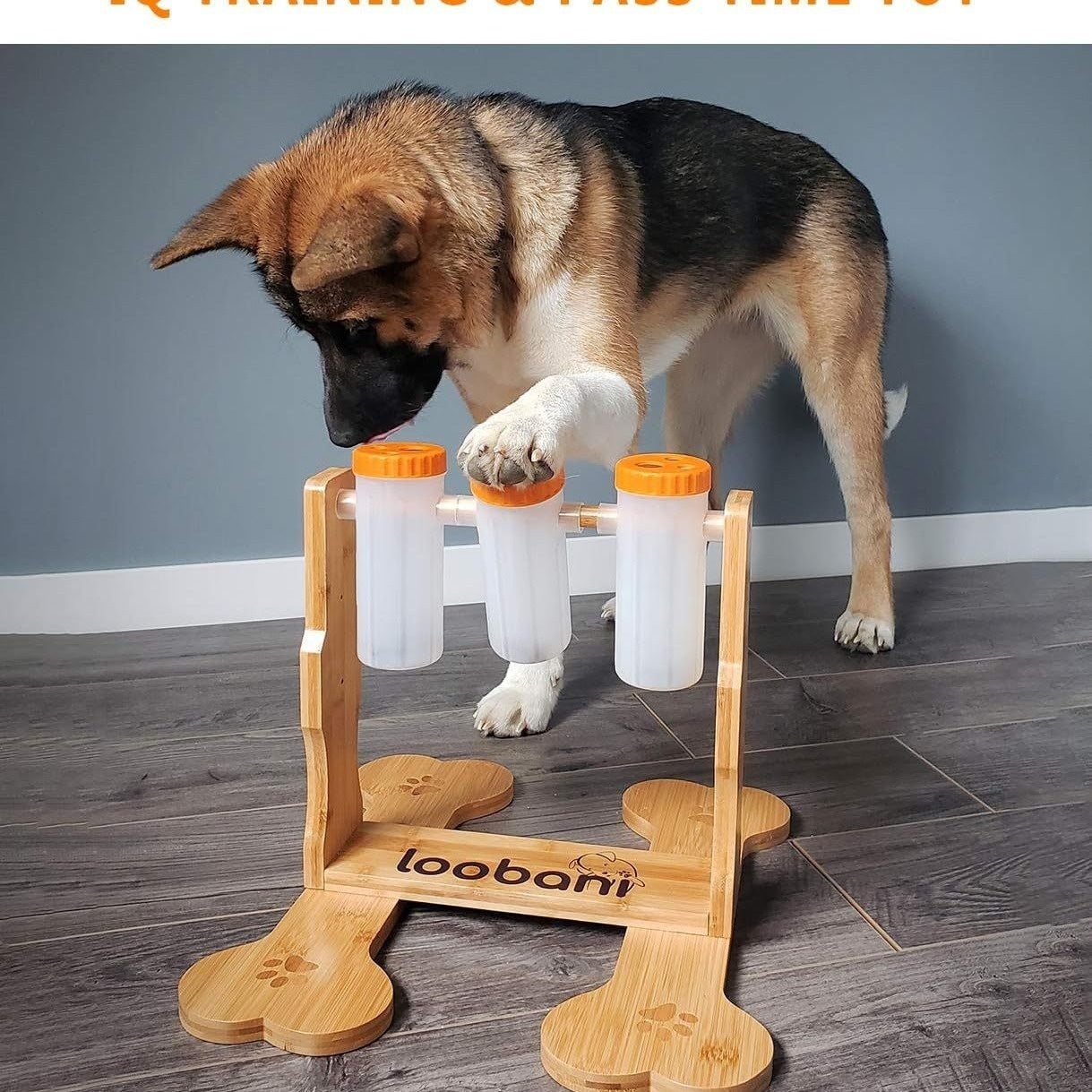 Wooden Dog Toy, Snack Dispenser & Puzzle Feeder