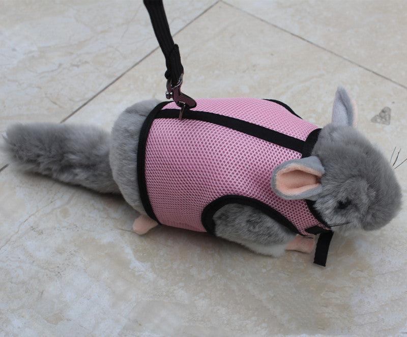 Small Pet Rabbit Leash for Outdoor Walking