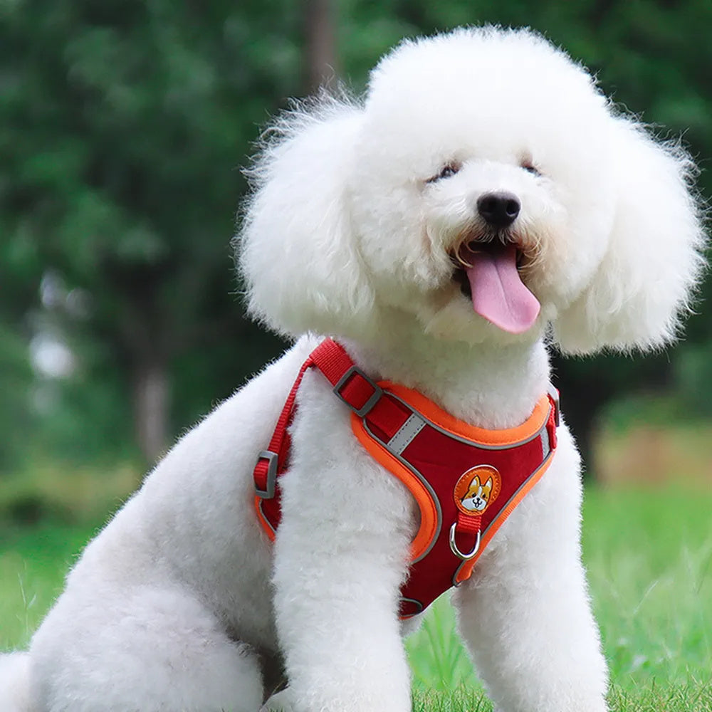 Adjustable Dog Harness and Leash Set