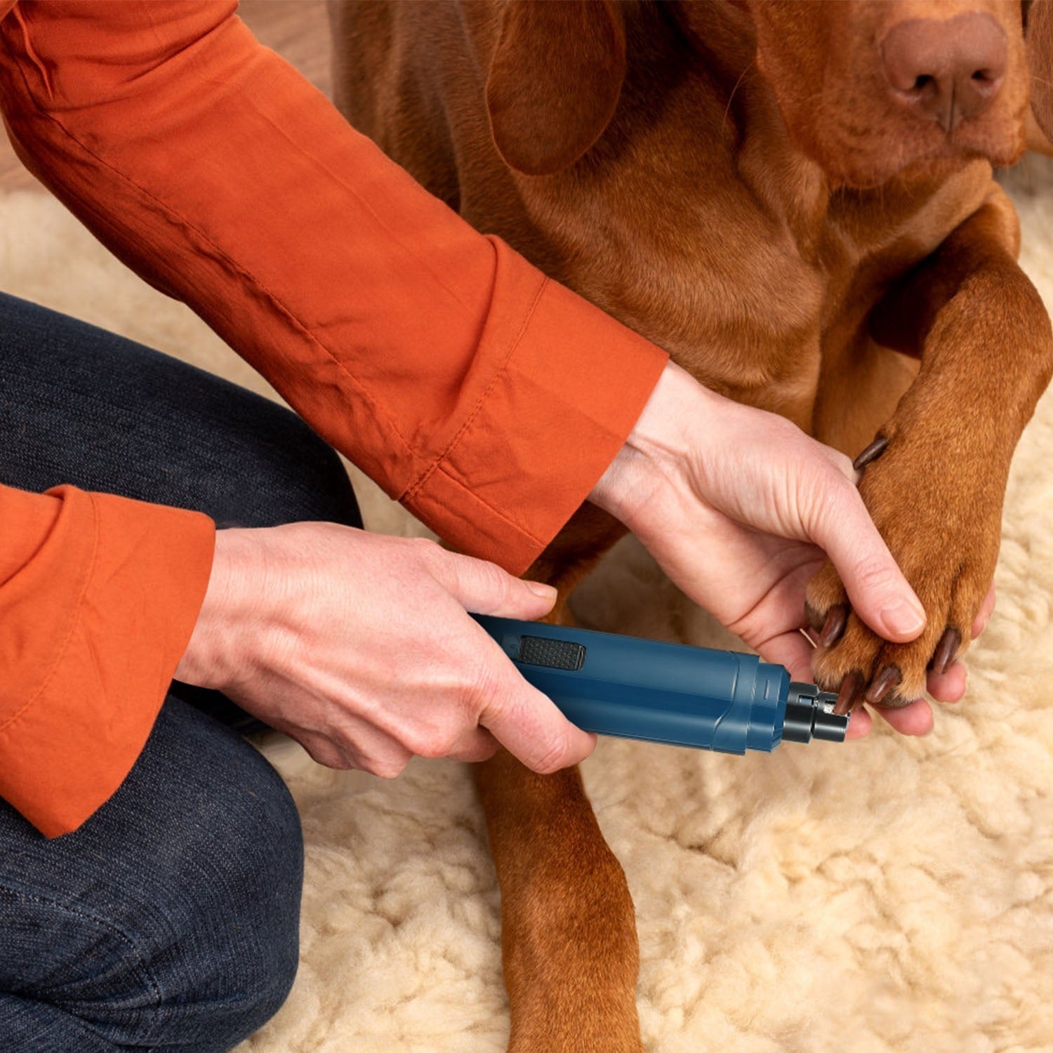 USB Rechargeable Dog Nail Grinder with 2 Speeds