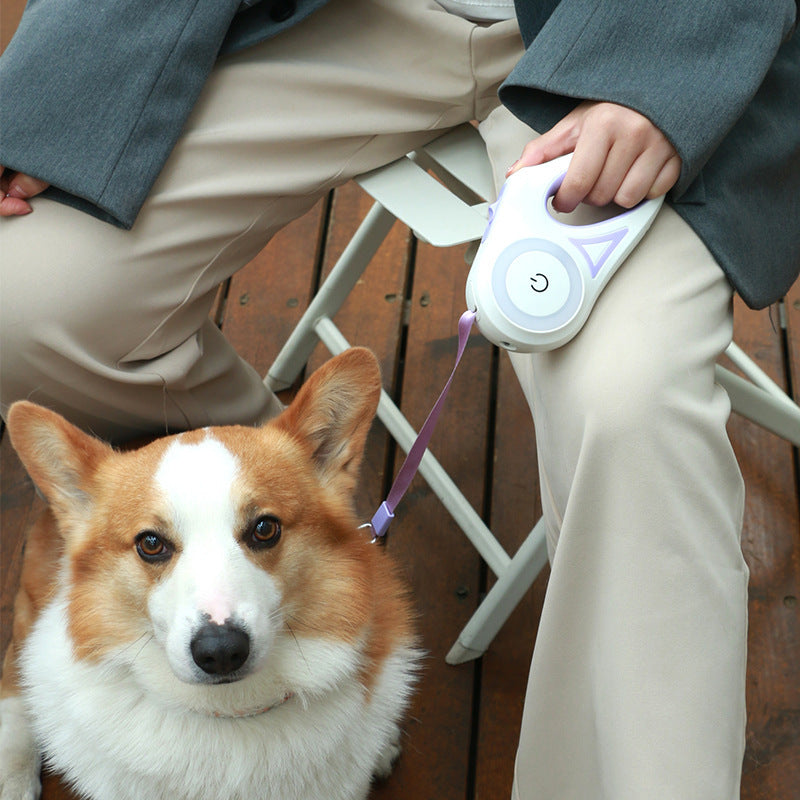 Automatic Pet Traction Rope for Small and Medium Dogs