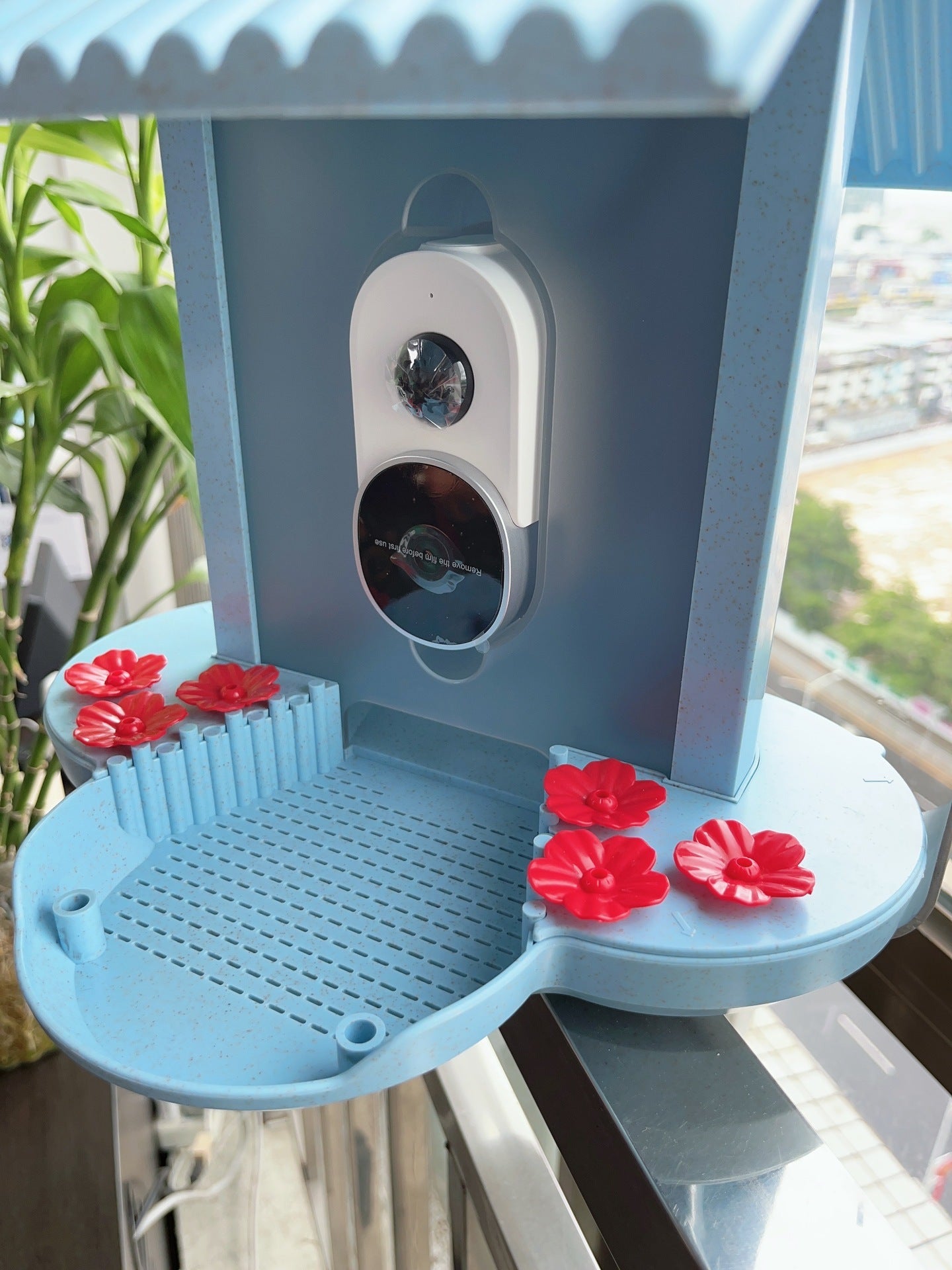 AI Bird Feeder with 160° Wide Angle Camera