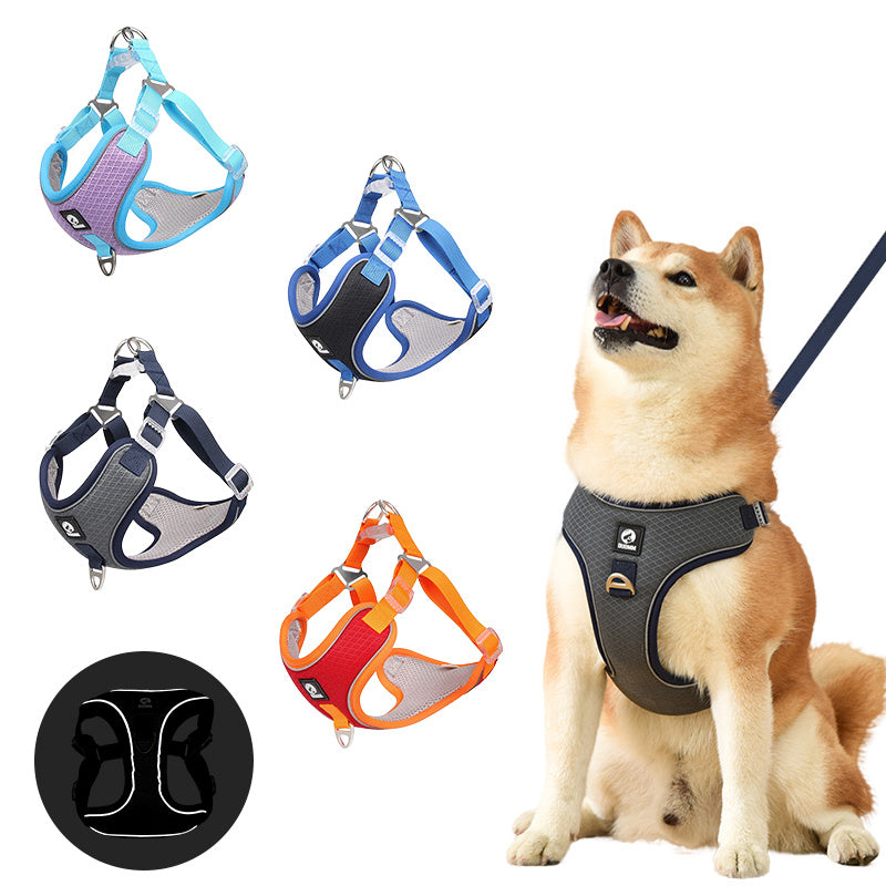 Adjustable Puppy Harness with Breathable Mesh