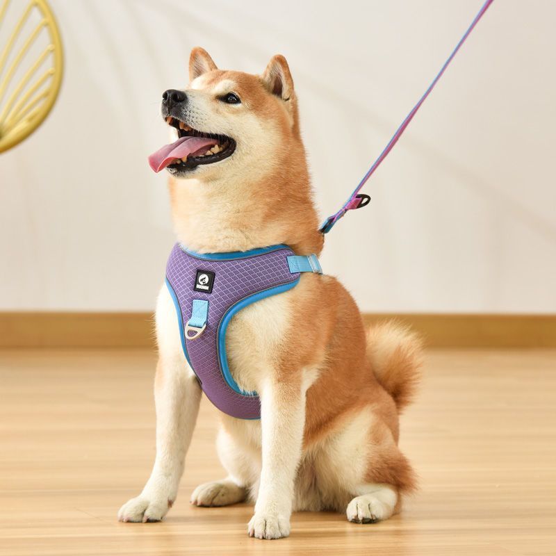 Adjustable Puppy Harness with Breathable Mesh