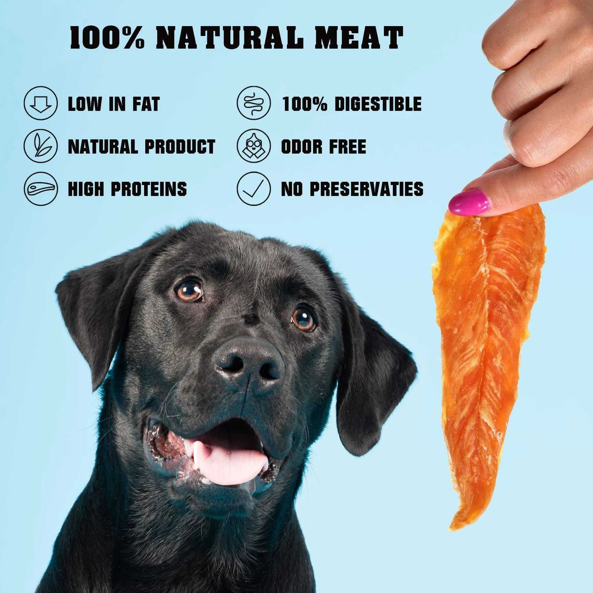 Chicken Jerky Dog Treats, 1.5 lb High Protein