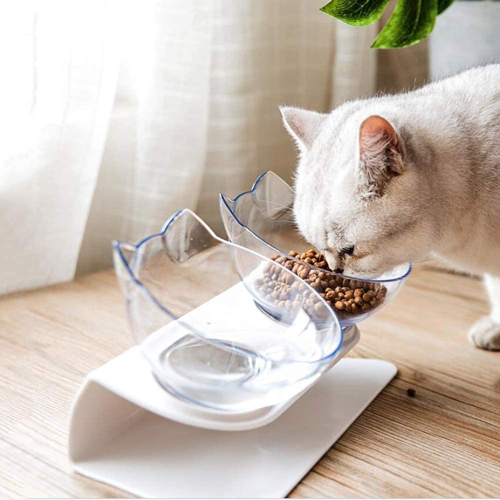 Ergonomic Raised Cat Feeder Protects Cervical Vertebrae