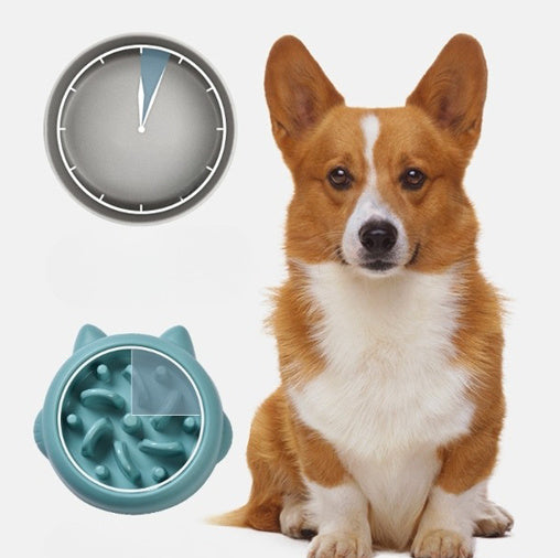Slow Feeder Bowl for Dogs and Pets