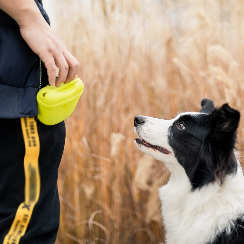 Dog Training Waist Bag with Snack Storage