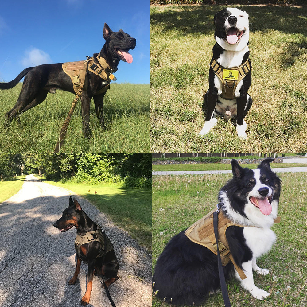 Military-Grade Tactical Dog Harness – Strong & Adjustable