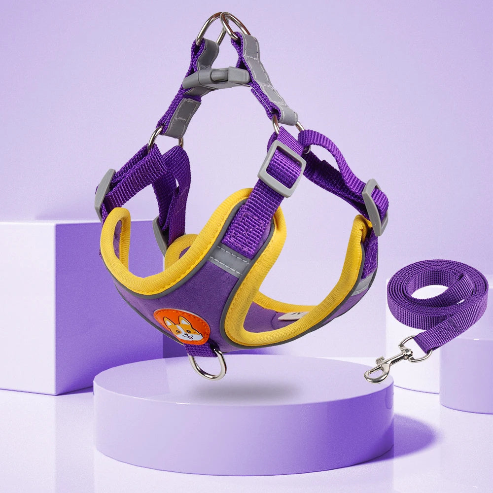 Adjustable Dog Harness and Leash Set