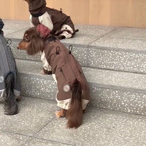 Cold-Proof Dachshund Jacket – Autumn Winter Pet Clothes