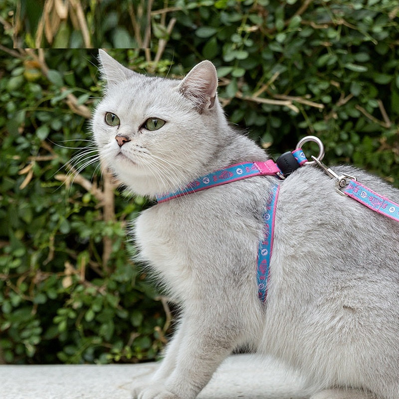 Cat Bell Harness with Leash for Small Dogs