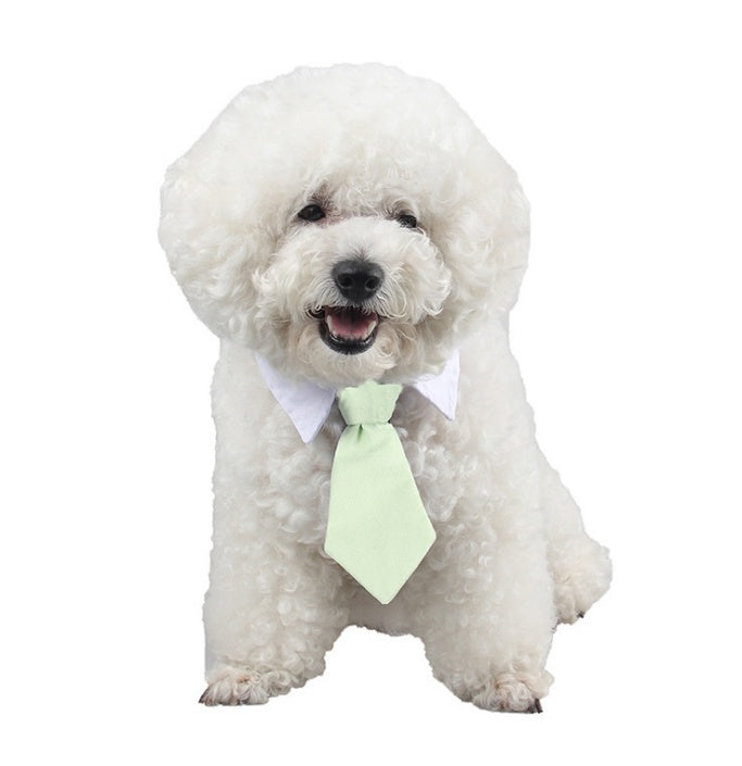 Pet Bow Tie with Cute Cartoon Print