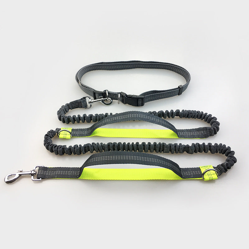 Multi-Function Reflective Dog Running Leash with Double Elastic