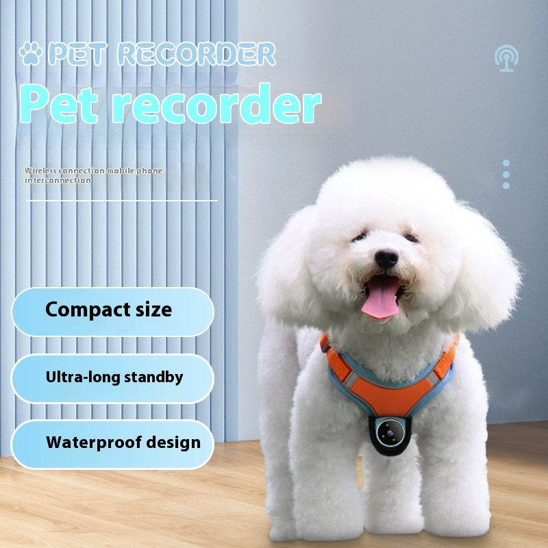 Pet Tracker Collar with HD Motion Camera for Dogs & Cats
