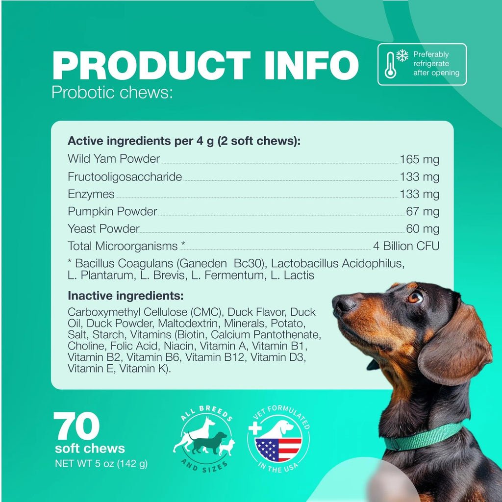 Probiotic Chews for Dogs – Gut & Allergy Support