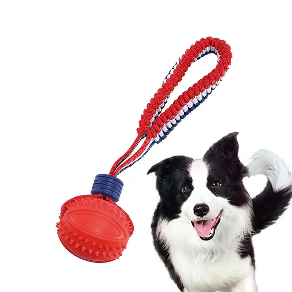 Durable Dog Chewing Ball with Rope
