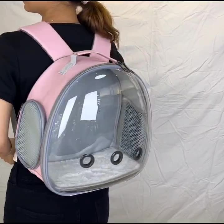 Transparent Pet Backpack, Small Animal Carrier